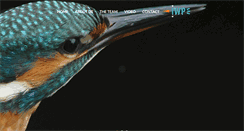 Desktop Screenshot of iwp-wildlife.com